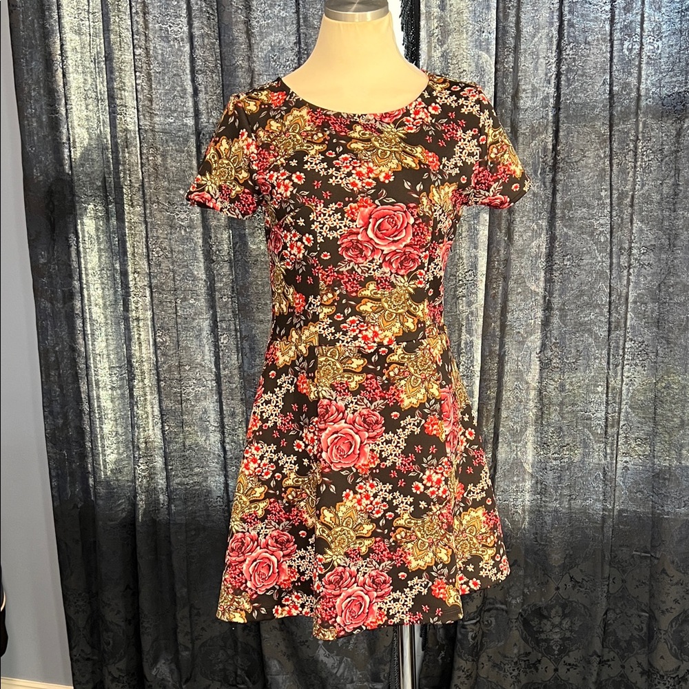 Floral Print Skater Dress
